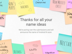 Android N哪個名字才是你最愛？即將揭曉