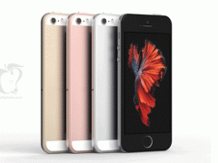 4寸新iPhone外觀全面曝光 5S+6S的合體？