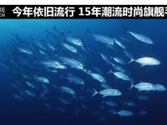 16年潮流時(shí)尚旗艦手機(jī)薦 今年依舊流行